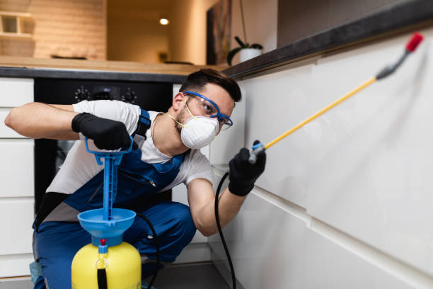 Best Affordable Pest Control Services  in Riverview, MI