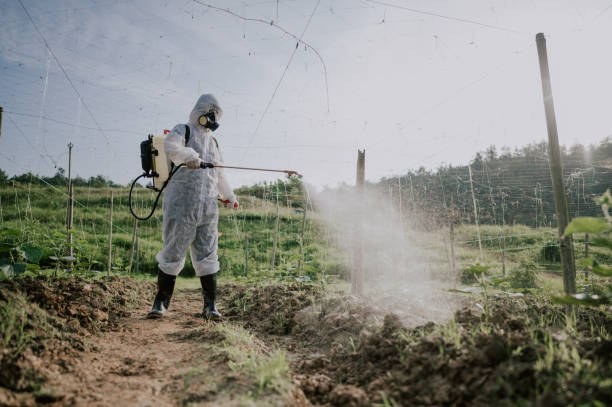 Best Pest Control Cost  in Riverview, MI