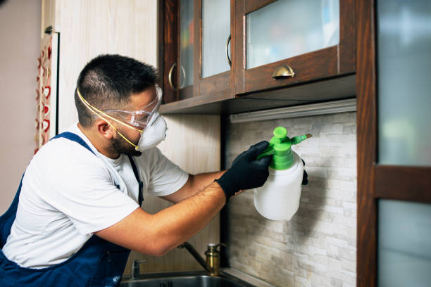 Best Termite Control Services  in Riverview, MI