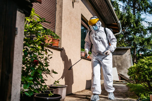 Best Ant Control Services  in Riverview, MI