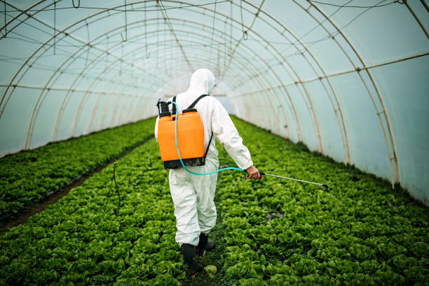 Best Affordable Pest Control Services  in Riverview, MI