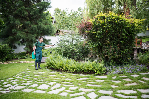 Wasp Removal Services in Riverview, MI