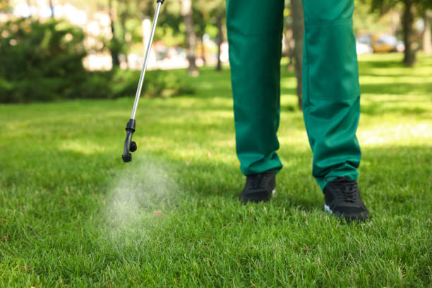 Best Wasp Removal Services  in Riverview, MI