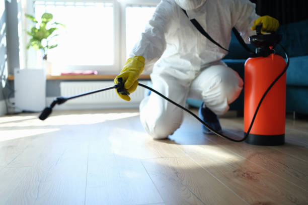 Flea Control Services in Riverview, MI