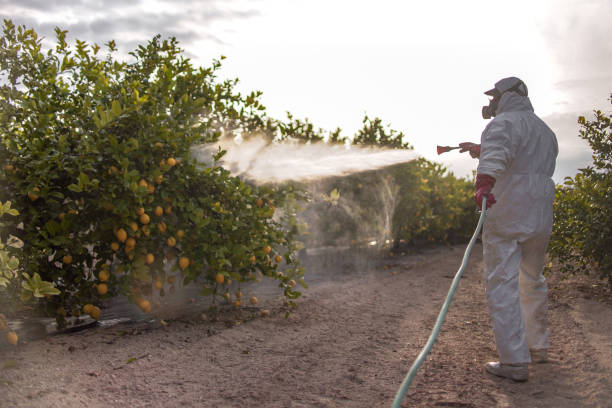 Best Best Pest Control Near Me  in Riverview, MI