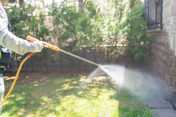 Best Rodent Control Near Me  in Riverview, MI