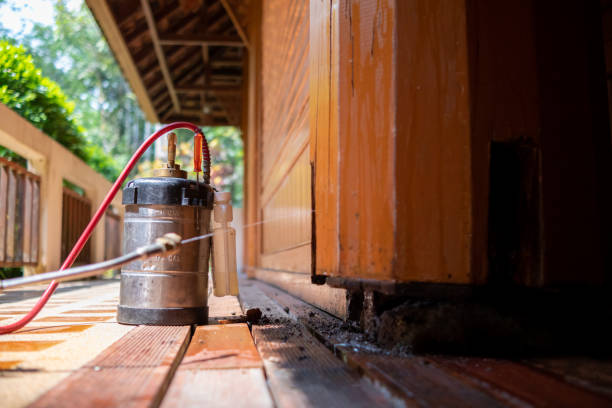 Pest Control for Restaurants in Riverview, MI