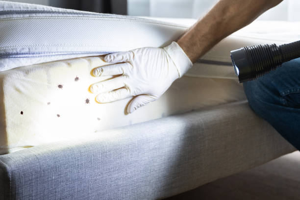 Best Best Pest Control Companies  in Riverview, MI