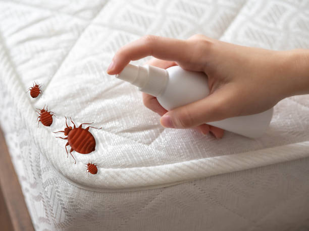 Best Pest Control Near Me  in Riverview, MI