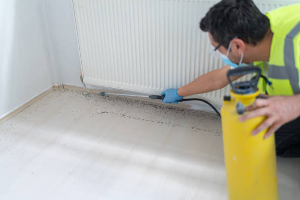Best Local Pest Control Services  in Riverview, MI
