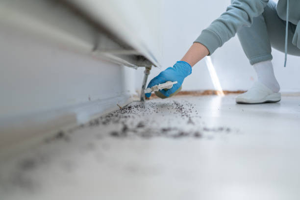 Best Emergency Pest Control  in Riverview, MI